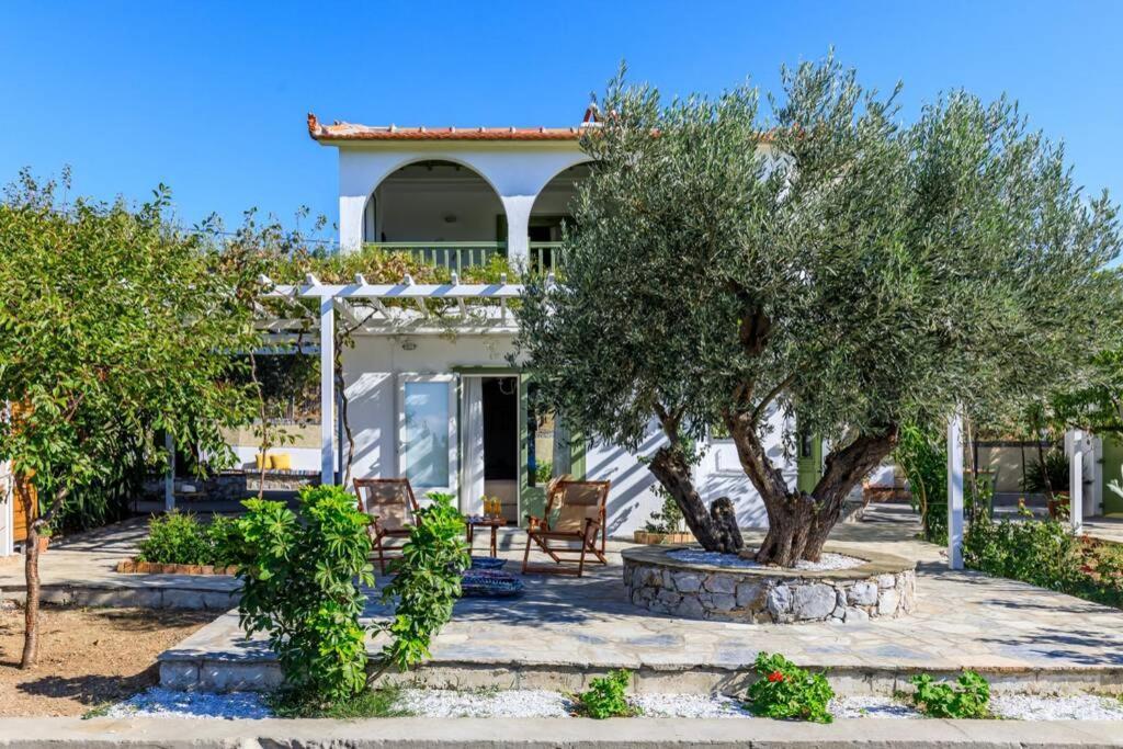 Nina-Myrtia Countryside House Skopelos Ditropo Bagian luar foto